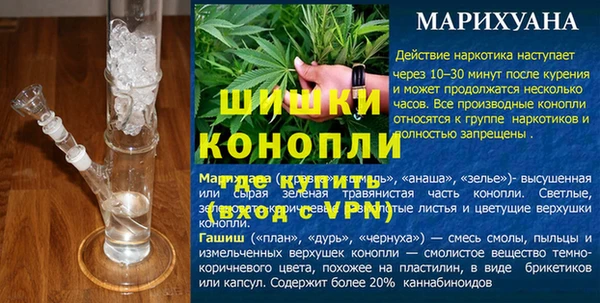 прущие грибы Семикаракорск