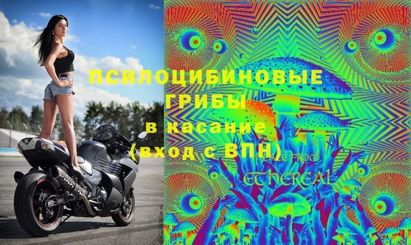 не бодяженный Сатка