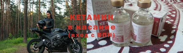 прущие грибы Семикаракорск