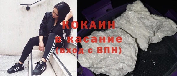 прущие грибы Семикаракорск