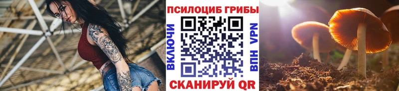 Галлюциногенные грибы мухоморы  Кудрово 