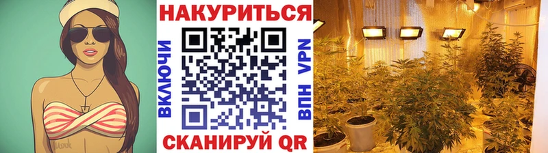 сколько стоит  Кудрово  Конопля SATIVA & INDICA 